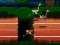 Oyunu Big Birds Racing çevrimiçi