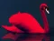 Oyunu Love Birds Puzzle çevrimiçi