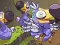 Oyunu Save The Dodos çevrimiçi