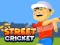 Oyunu Street Cricket çevrimiçi