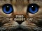 Oyunu Find the Ghost Cat çevrimiçi
