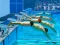 Oyunu Swimming Pool Race çevrimiçi