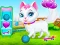 Oyunu Pet Health Care çevrimiçi
