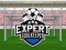 Oyunu Expert Goalkeeper çevrimiçi