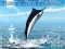 Oyunu Azure Sea Fishing çevrimiçi