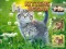 Oyunu Kittens Jigsaw çevrimiçi