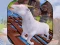 Oyunu Angry Goat Wild Animal Rampage çevrimiçi
