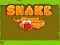 Oyunu Snake çevrimiçi