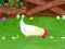 Oyunu Stupid Chicken çevrimiçi