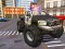 Oyunu Police Truck Driver Simulator çevrimiçi