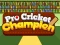 Oyunu Pro Cricket Champion çevrimiçi