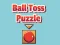 Oyunu Ball Toss Puzzle çevrimiçi