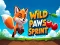 Oyunu Wild Paws Sprint çevrimiçi