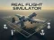 Oyunu Real Flight Simulator çevrimiçi