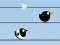 Oyunu Gone with the Birds çevrimiçi