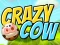 Oyunu Crazy Cow çevrimiçi