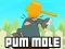 Oyunu Pum-Mole çevrimiçi