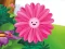 Oyunu Funny Flowers Jigsaw çevrimiçi
