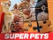Oyunu DC League of Super Pets Jigsaw Puzzle çevrimiçi