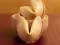 Oyunu Fortune Cookies çevrimiçi