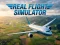 Oyunu Real Flight Simulator çevrimiçi