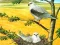Oyunu Birds Of Prey Puzzle çevrimiçi
