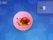 Oyunu Snail Clicker çevrimiçi
