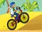 Oyunu BMX Boy Online çevrimiçi