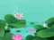 Oyunu Lotus Flowers çevrimiçi