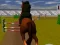 Oyunu Jumping Horse 3d çevrimiçi