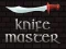 Oyunu Knife Master çevrimiçi