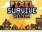 Oyunu Pixel Survive Western çevrimiçi
