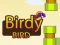 Oyunu Birdy Bird çevrimiçi