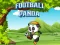 Oyunu Football Panda çevrimiçi