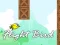 Oyunu Flight Bird çevrimiçi