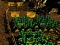 Oyunu Pixel Farm çevrimiçi