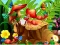 Oyunu Hidden Objects Insects çevrimiçi