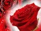 Oyunu Red Roses çevrimiçi