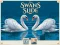 Oyunu Swans Slide çevrimiçi