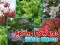 Oyunu Spring Flowers: Hidden Objects çevrimiçi
