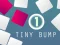 Oyunu Tiny Bump çevrimiçi
