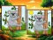 Oyunu Animal: Find The Differences çevrimiçi