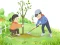 Oyunu Arbor Day Puzzle çevrimiçi