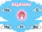 Oyunu SkyAtoms çevrimiçi