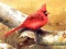 Oyunu Art Birds Puzzle çevrimiçi