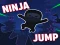 Oyunu Ninja jump çevrimiçi