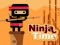 Oyunu Ninja Time çevrimiçi