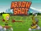 Oyunu Arrow Shoot çevrimiçi