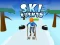 Oyunu Ski Rush 3d çevrimiçi