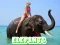 Oyunu Elephants Puzzle çevrimiçi